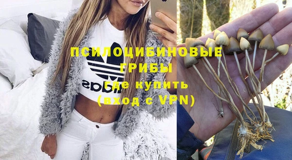 MESCALINE Аркадак