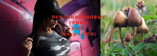 гидропоника Армянск