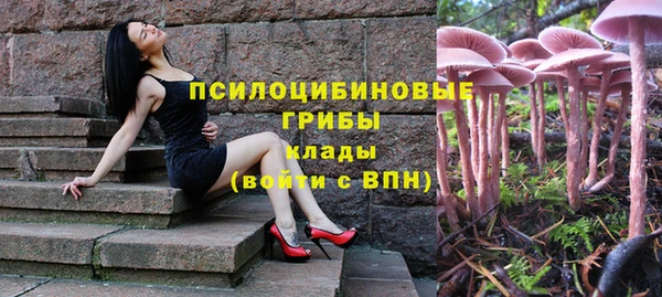 гидропоника Армянск