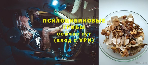 не бодяженный Арсеньев